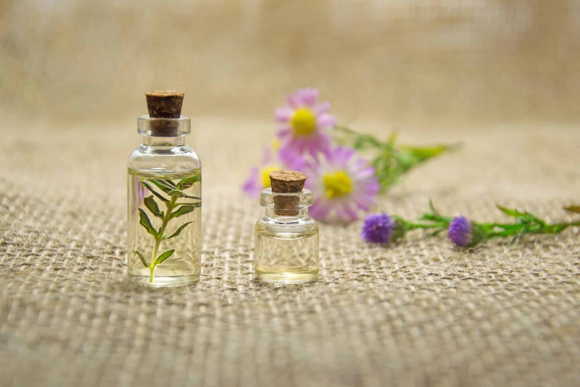 Comprendre les huiles essentielles avant de les utiliser au quotidien