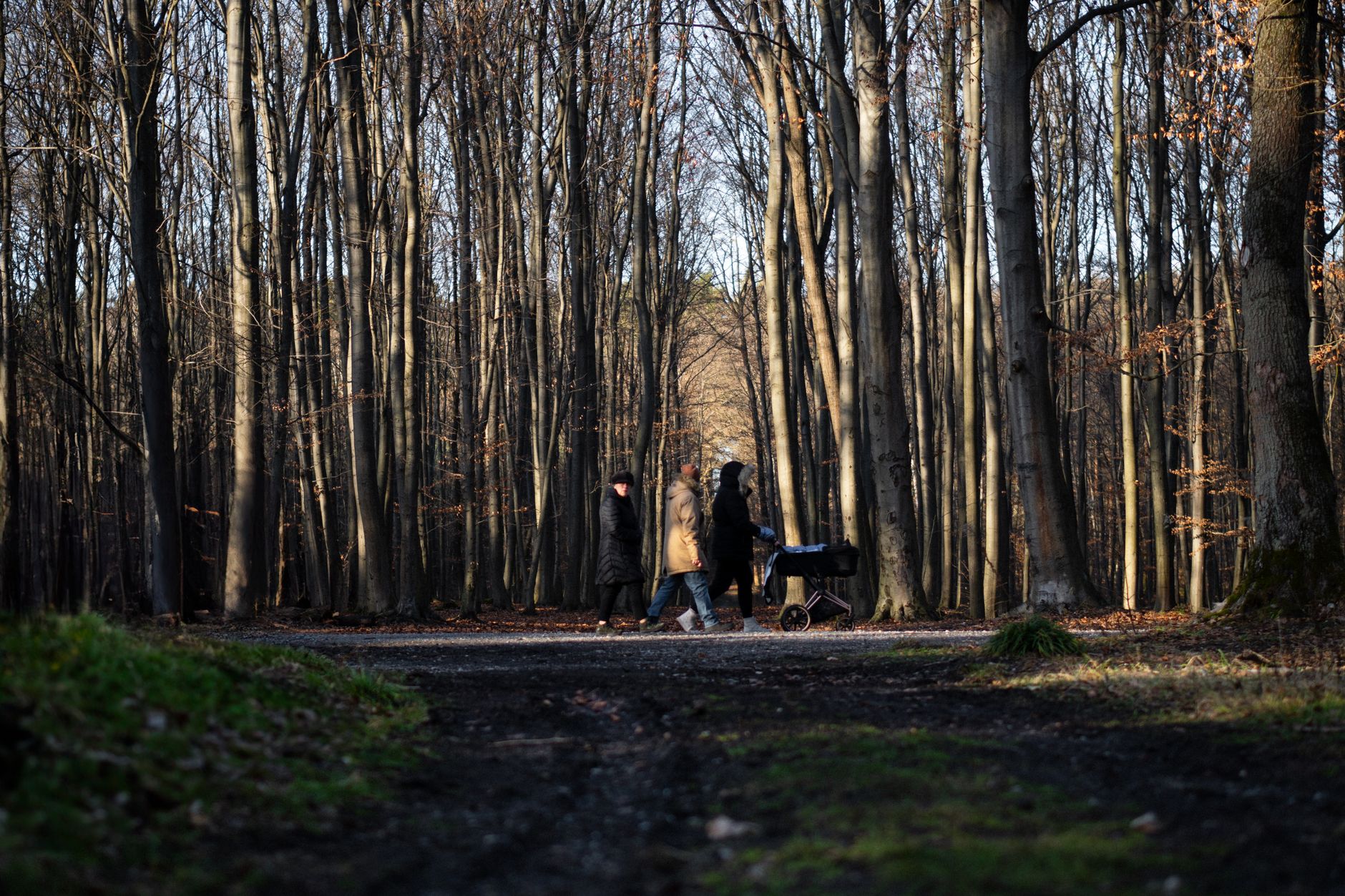 Accompagner chaque étape de la vie familiale, naturellement